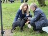Le Club canin de Châtenoy le Royal a accueilli dimanche 31 mars l’exposition de la Régionale d’Elevage Bourgogne Franche Comté de Staffordshire Bull Terrier Club de France 2024. (1/3)