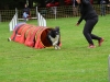 180 chiens ont participé au concours d’agility coorganisé par les clubs de Fontaines et Gergy au château de La Loyère.