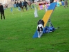 180 chiens ont participé au concours d’agility coorganisé par les clubs de Fontaines et Gergy au château de La Loyère.