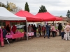 La municipalité et les associations fontenoises main dans la main pour la bonne cause et organiser les traditionnelles marches "Octobre Rose" ce samedi matin 4 octobre.