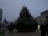 Saint Rémy a allumé le sapin de la place de la mairie samedi 4 décembre pour la venue du père noël.