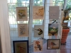 De la plume au pinceau, les oiseaux sauvages vus par Les Amis des Arts de Saint Rémy.