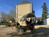 Marché de Noël de Châtenoy-en-Bresse : le retour en images de cette 7ème édition 