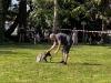 Une très belle journée à la fête patronale de Chatenoy-en-Bresse ce dimanche 