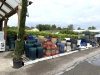 Ne ratez pas les SOLDES chez Nicolas Bailly Horticulteur !