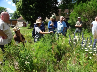 (re)découvrez le Morvan entre forêt, verger et tourbière 