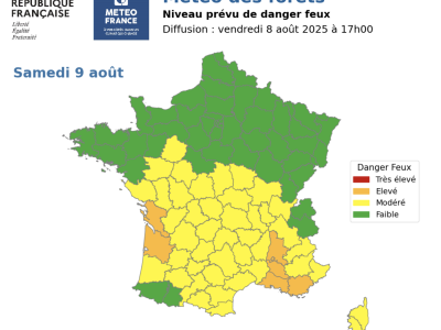 La Saône et Loire en vigilance jaune pour les feux de forêts 