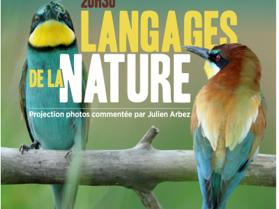 Vendredi 12 septembre à 20 h 30, le centre Eden reçoit Julien ARBEZ pour une projection commentée sur les parades animales.