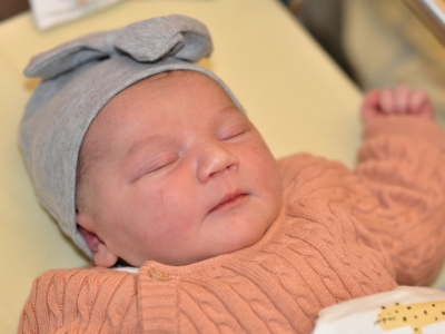 CARNET ROSE - Bienvenue à Bonnie