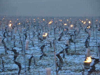 Vers un épisode de gel de printemps en Bourgogne ? 