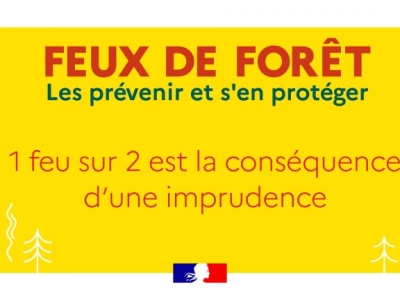 FEUX DE FORET - Un appel à la vigilance citoyenne renforcée  