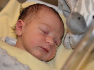 Bienvenue à Samaëlle LUCYSZYN