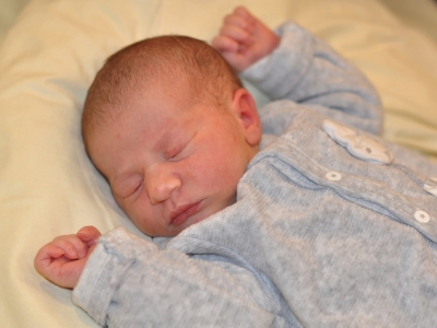 Bienvenue à Arya LOISON