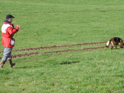 Le Championnat de France de  pistage aura lieu les  19 et 20 Mars à  Germagny 