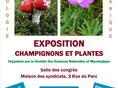 Samedi 15 et dimanche 16 octobre venez découvrir l’exposition  de champignons et de plantes
