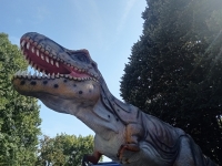 Jurassic shark arrive à Chalon sur Saône ce week-end 