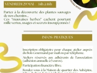 Bois gourmand du Chalonnais - Venez à la rencontre des plantes vagabondes 