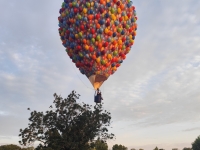 MONTGOLFIADES CHALON - Sans surprise, les vols de ce dimanche soir sont annulés 