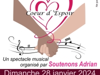 Spectacle musical en soutien à Adrian le 28 janvier 