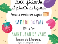 Marché aux fleurs et plants de légumes le 4 mai à Saint Jean de Vaux 