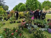 FOIRE AUX PLANTES DE LA FERTE - Malgré une météo chagrin... une fréquentation record à 16500 entrées ! 