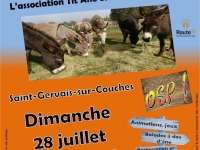 L'association Tit'Âne et Cie fête ses 10 ans