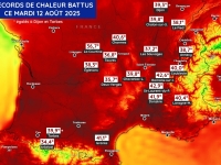 CANICULE - 39,8°c à Chalon sur Saône... le record de 2003 battu 
