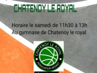 L'AS Châtenoy le Royal recherche des seniors filles pour compléter son équipe de basket 