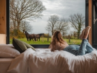 La tiny qui murmurait à l’oreille des chevaux