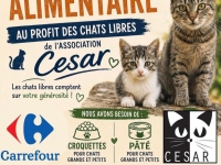 L'association César organise sa collecte alimentaire 
