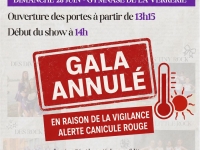Le gala des Rock Cheerleaders de Chalon annulé 