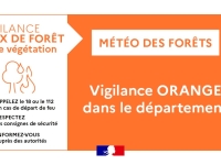 Risque sévère de feux en Saône et Loire - La Préfecture met en place une série de mesures - Veillez à bien les respecter ! 