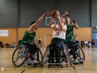BASKET FAUTEUIL - Du travail bien fait pour l'Elan Chalon qui s'impose sans discuter face à Lannion 