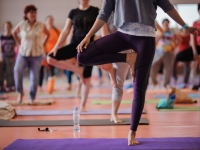 Le yoga a le vent en poupe ! Le Hatha Yoga Club multiplie les possibilités de cours hebdomadaires ainsi que les pratiques d’enseignements. 