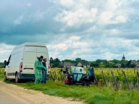 Les viticulteurs revendiquent leurs progrès environnementaux avant la publication ce lundi des résultats