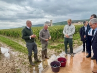Climat, taxes, qualité du millésime : les vignerons bourguignons échangent avec le préfet de Bourgogne 