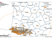 MHE - Maladie hémorragique épizootique - Levée des mesures de restriction de mouvement liées aux 2 foyers Suisse infirmés