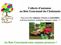 Le Bois Gourmand du Chalonnais recherche des végétaux vivaces et comestibles 