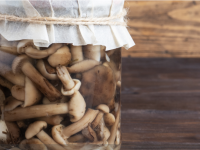 Comment bien conserver ses champignons ? 