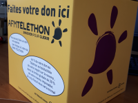 TELETHON - Les urnes de collecte  confectionnées à Chalon sur Saône 