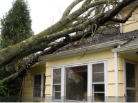 Comment être indemnisé des dommages causés par une tempête ?