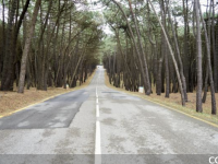 L'Union routière de France tire la sonnette d'alarme sur l'état du réseau