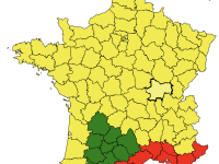 Les pollens de frêne et de peuplier pointent leur nez en Saône et Loire 