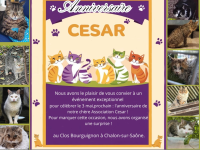 L’Association CESAR fête ses 4 ans : une journée conviviale au Clos Bourguignon le 3 mai à Chalon-sur-Saône