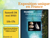 Fête de la nature - une exposition organisée le 24 mai à l'Ehpad Korian Bel'Saône à Chalon 