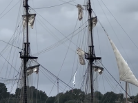 La semaine du Golfe du Morbihan, c'est ce week-end 