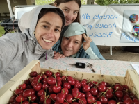 L'association de parents d'élèves RécréActions (Moroges / Bissey sous Cruchaud) organise des ventes de cerises