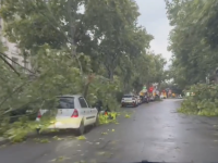 Impressionnante déambulation dans les rues du XVIe arrondissement à Paris 