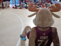 Le superbe show du Givry Starlett Club sur le parquet du Colisée en vidéo 