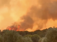 400 hectares brûlés, plus de 600 pompiers mobilisés… Ce que l’on sait de l’incendie dans l’Aude